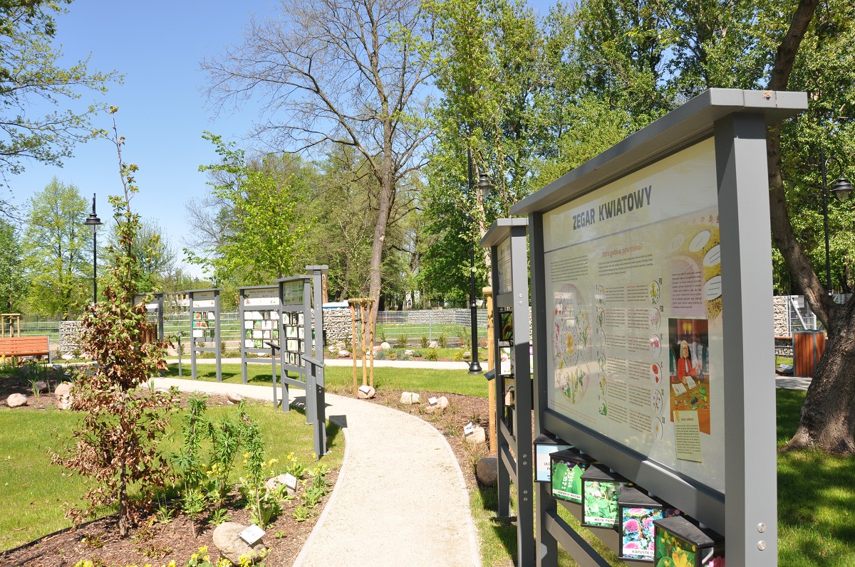 Brwinow Ogrod Alejka