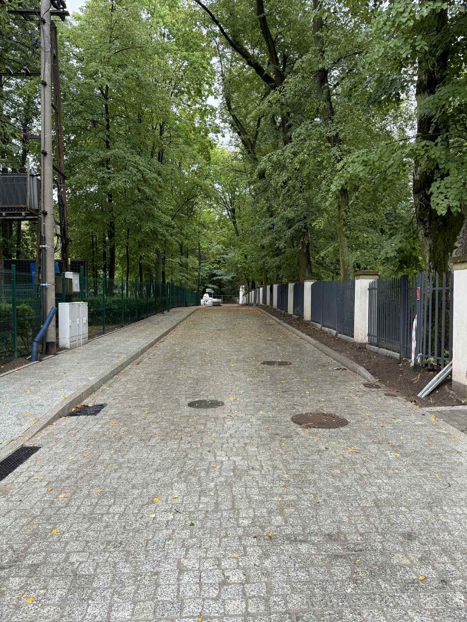 Swierkowa  3