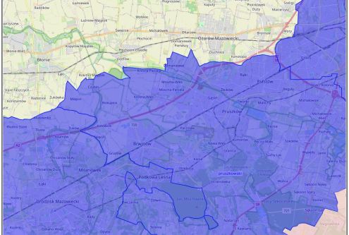 Na temat dzików spotykanych na terenach zabudowanych oraz sytuacji prawnej wypowiedział się burmi...